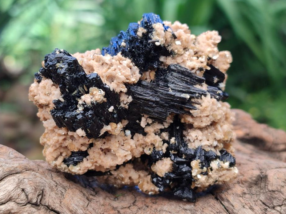 Natural Schorl Black Tourmaline With Vermiculite x 12 From Erongo, Namibia