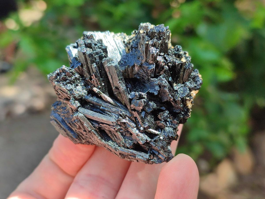 Natural Schorl Black Tourmaline With Vermiculite x 12 From Erongo, Namibia
