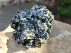 Natural Schorl Black Tourmaline With Vermiculite x 12 From Erongo, Namibia