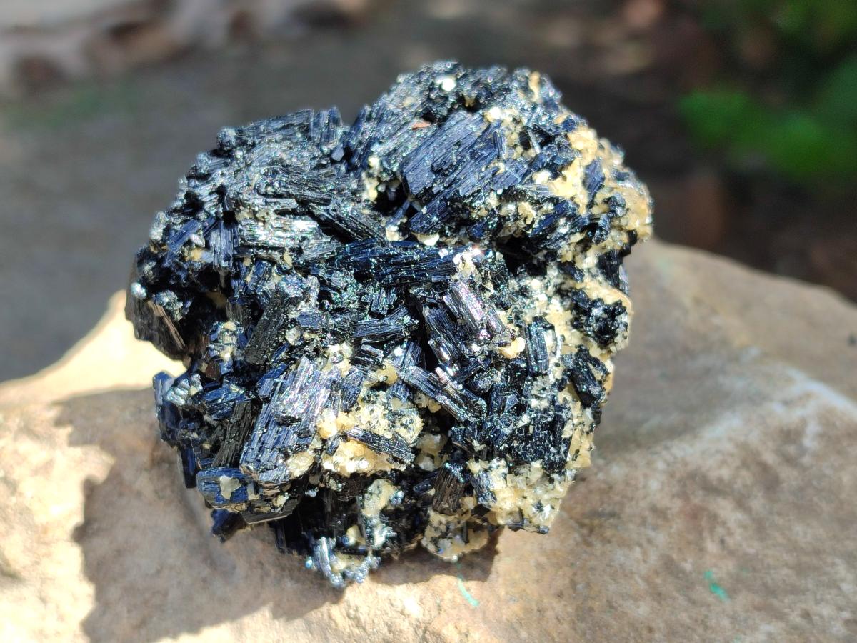 Natural Schorl Black Tourmaline With Vermiculite x 12 From Erongo, Namibia
