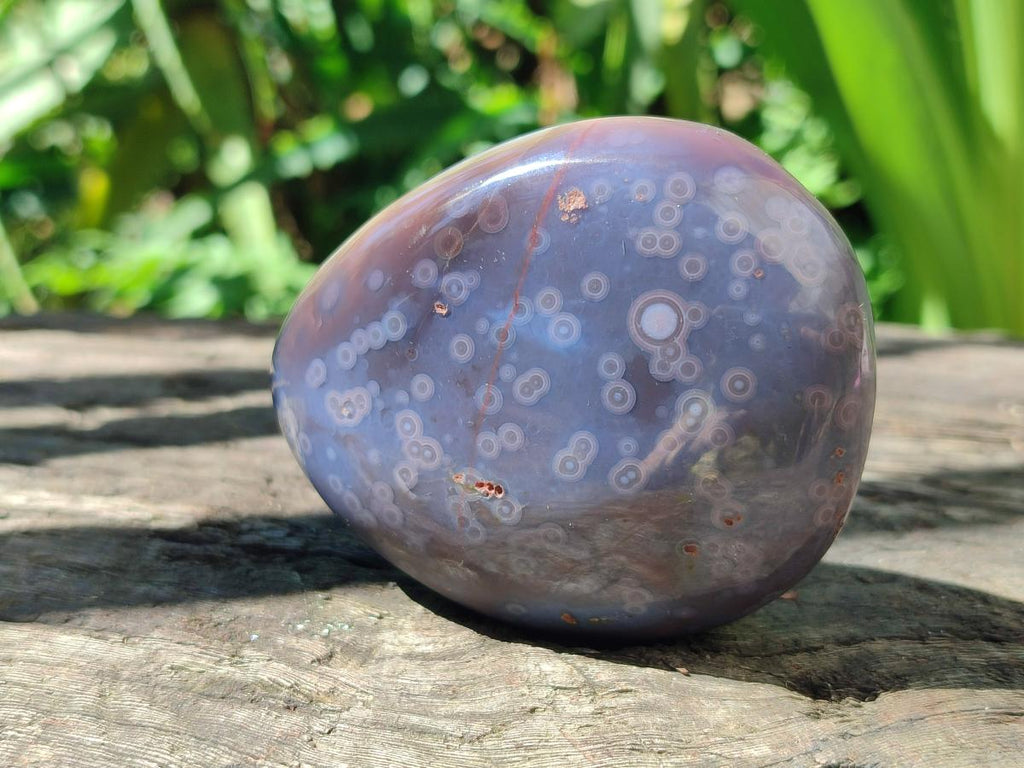 Polished Shashe River Agate Free Forms x 12 From Zimbabwe