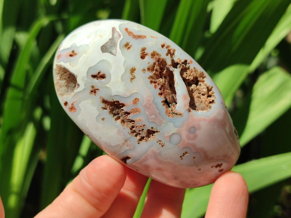 Polished Shashe River Agate Free Forms x 12 From Zimbabwe