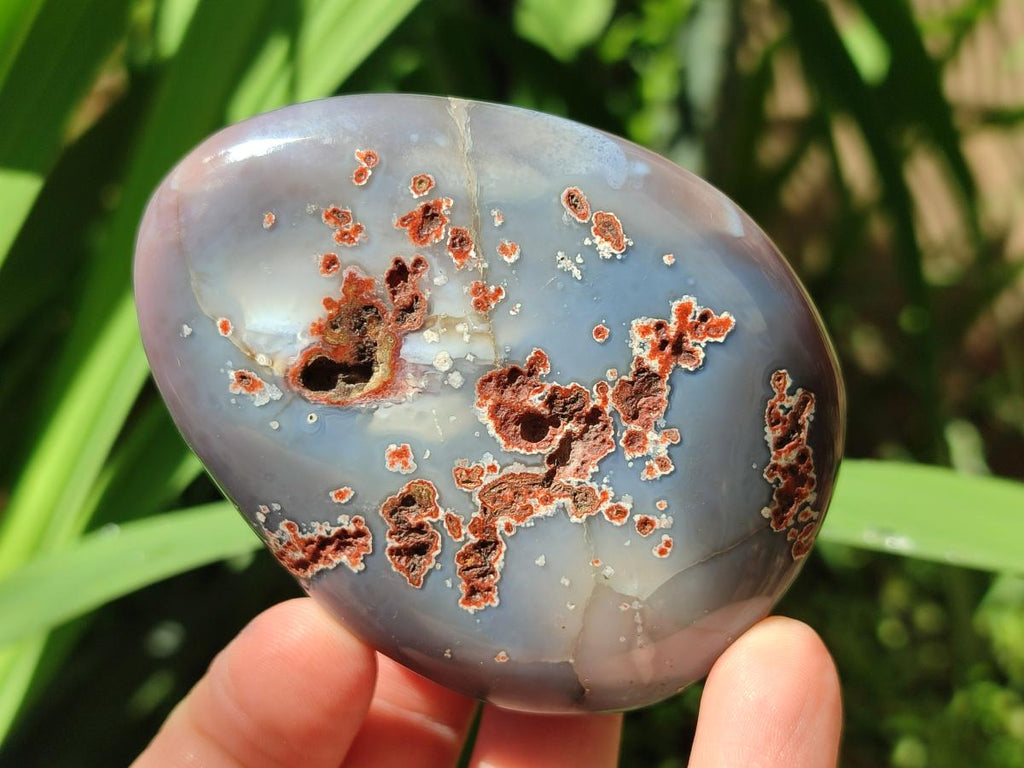 Polished Shashe River Agate Free Forms x 12 From Zimbabwe