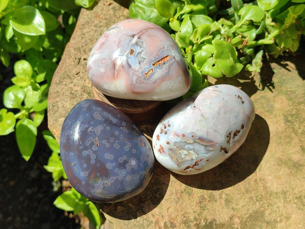 Polished Shashe River Agate Free Forms x 12 From Zimbabwe