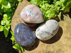 Polished Shashe River Agate Free Forms x 12 From Zimbabwe