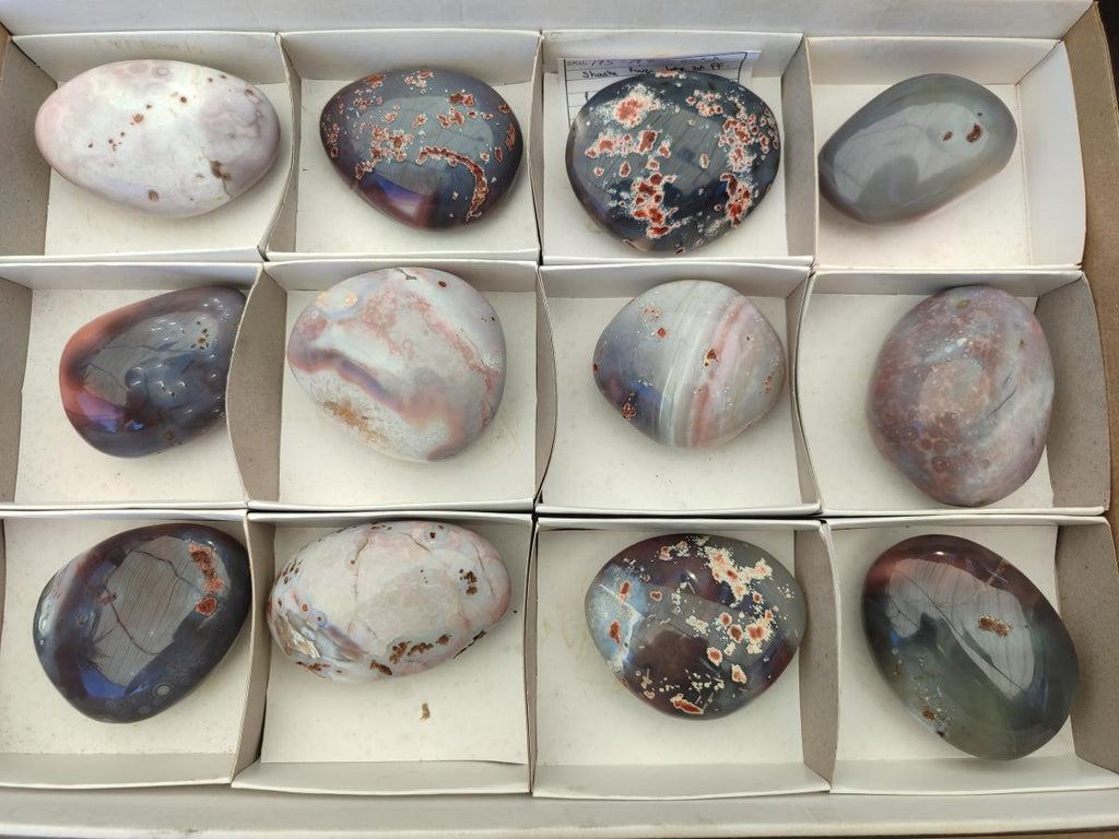Polished Shashe River Agate Free Forms x 12 From Zimbabwe