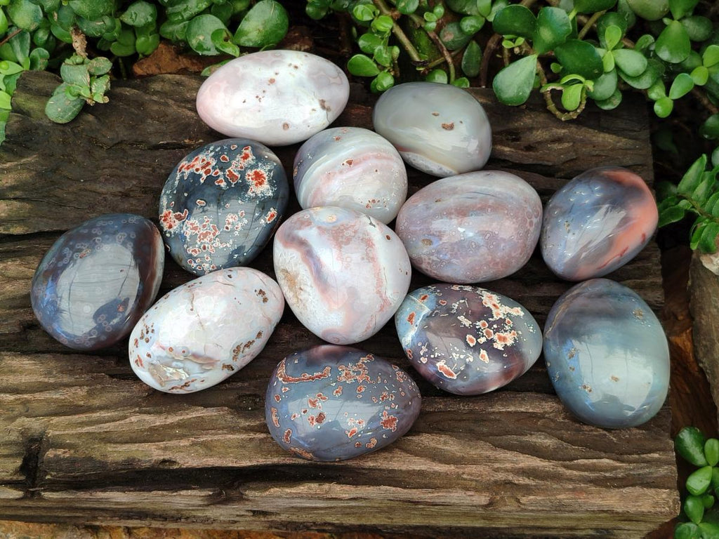 Polished Shashe River Agate Free Forms x 12 From Zimbabwe