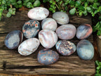 Polished Shashe River Agate Free Forms x 12 From Zimbabwe