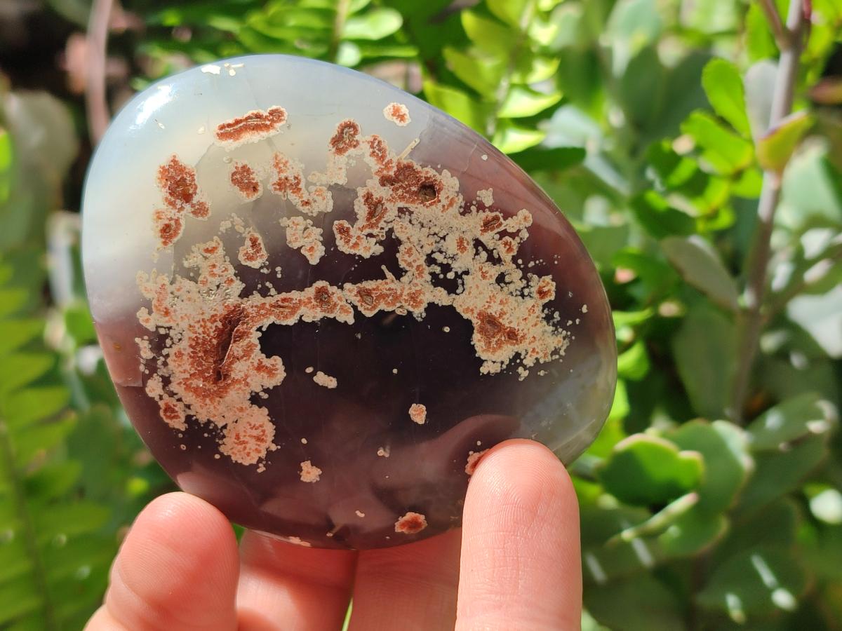 Polished Shashe River Agate Free Forms x 12 From Zimbabwe