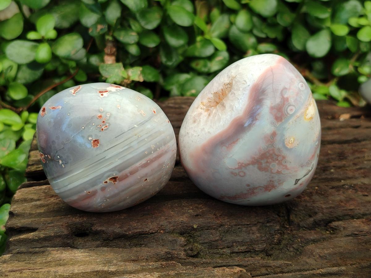 Polished Shashe River Agate Free Forms x 12 From Zimbabwe