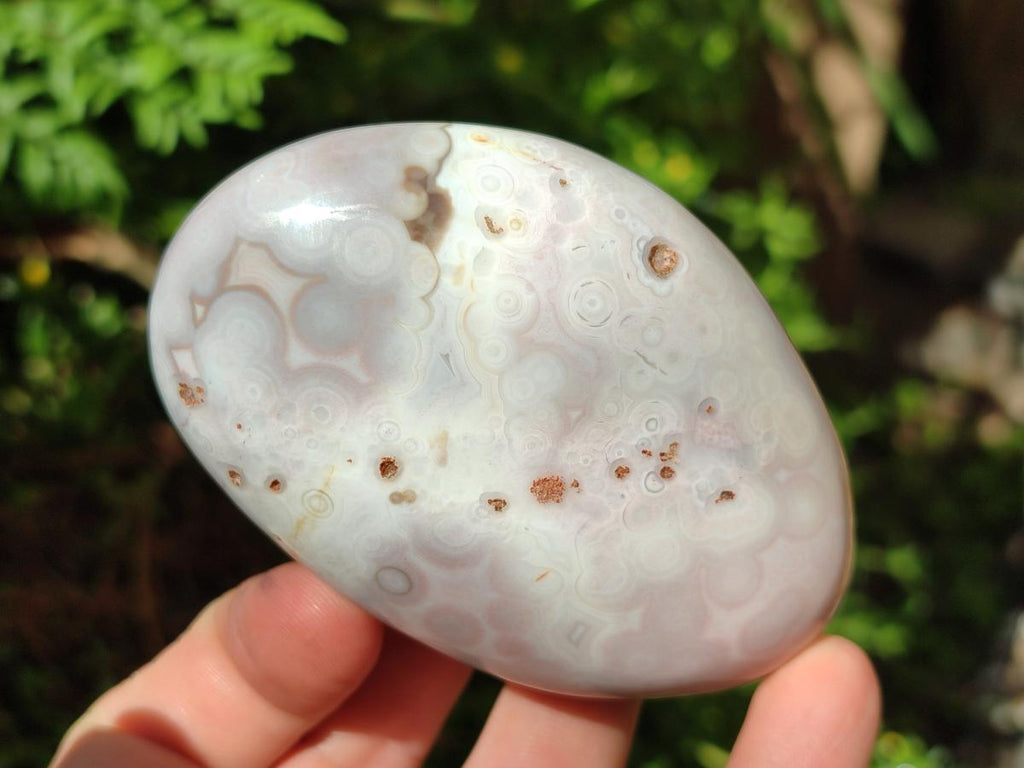 Polished Shashe River Agate Free Forms x 12 From Zimbabwe