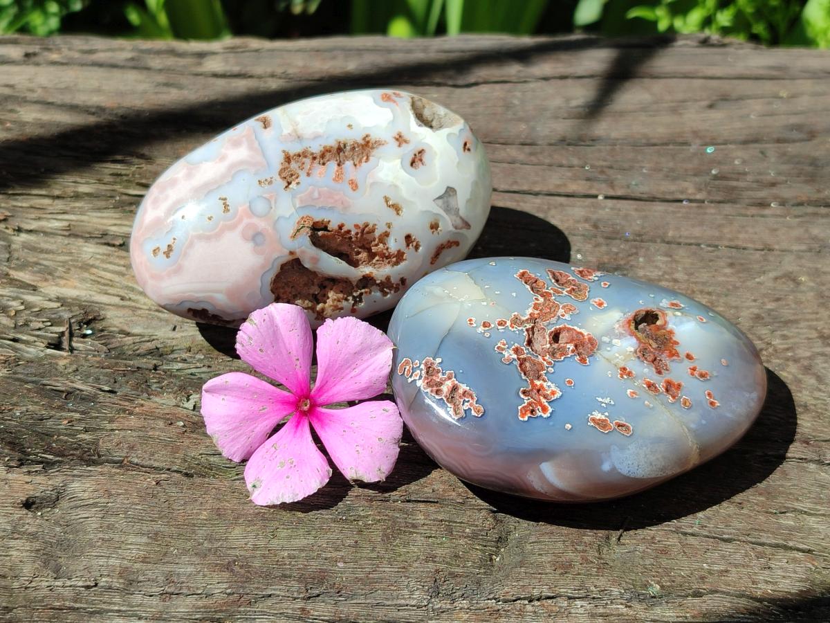 Polished Shashe River Agate Free Forms x 12 From Zimbabwe