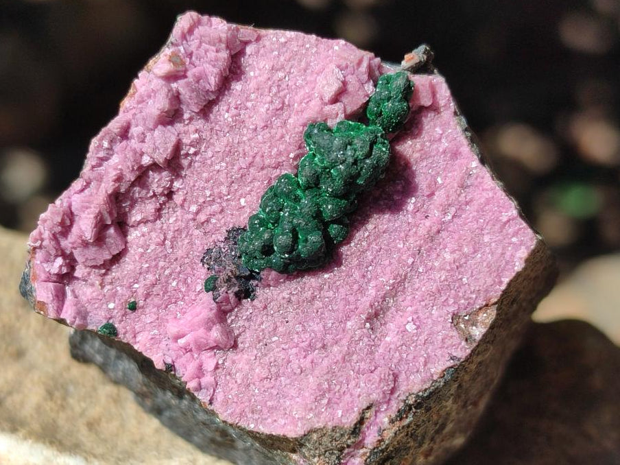 Natural Salrose Cobaltion Dolomite Specimens x 12 From Kakanda, Congo