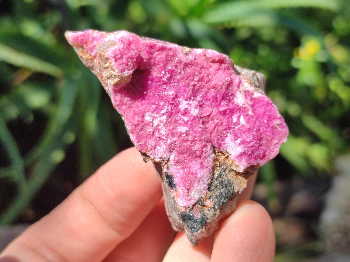 Natural Salrose Cobaltion Dolomite Specimens x 12 From Kakanda, Congo