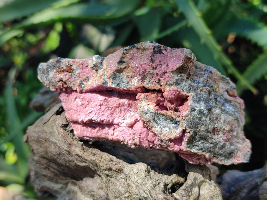 Natural Salrose Cobaltion Dolomite Specimens x 12 From Kakanda, Congo