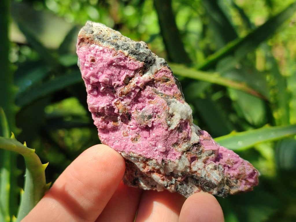 Natural Salrose Cobaltion Dolomite Specimens x 12 From Kakanda, Congo