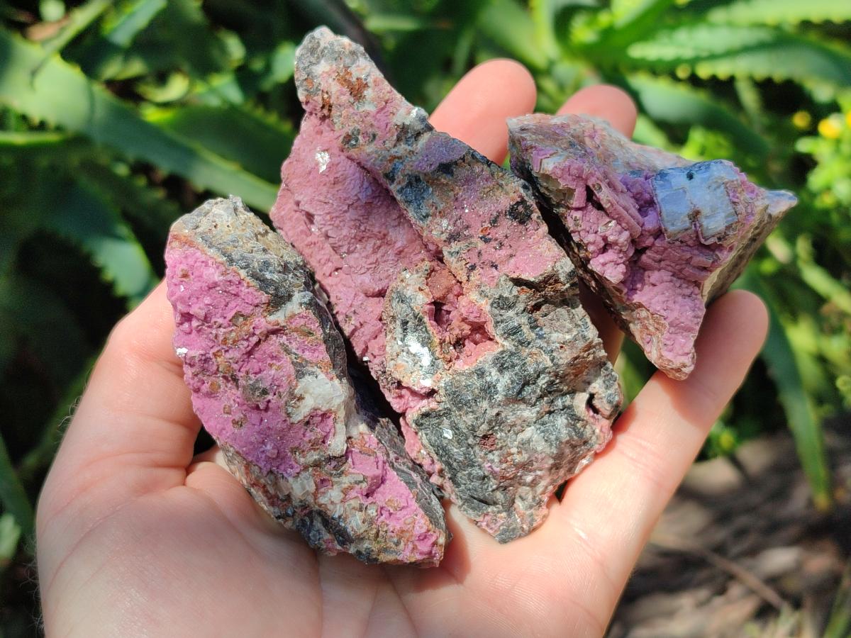 Natural Salrose Cobaltion Dolomite Specimens x 12 From Kakanda, Congo