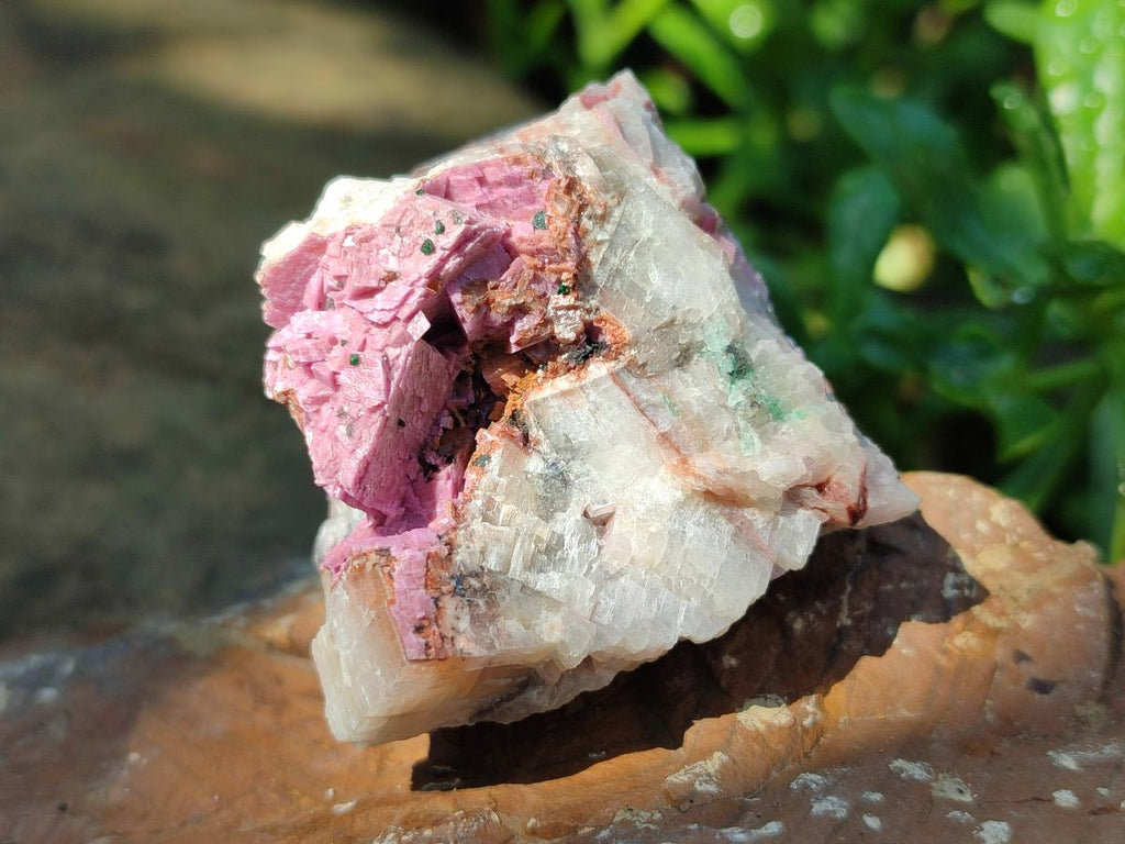 Natural Salrose Cobaltion Dolomite Specimens x 12 From Kakanda, Congo