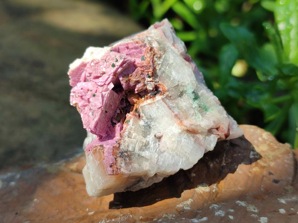 Natural Salrose Cobaltion Dolomite Specimens x 12 From Kakanda, Congo