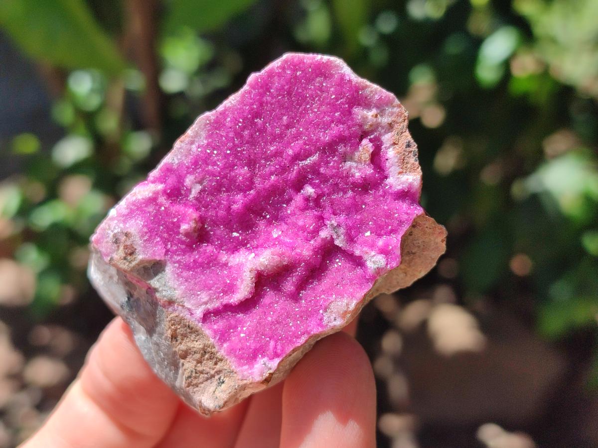 Natural Salrose Cobaltion Dolomite Specimens x 12 From Kakanda, Congo