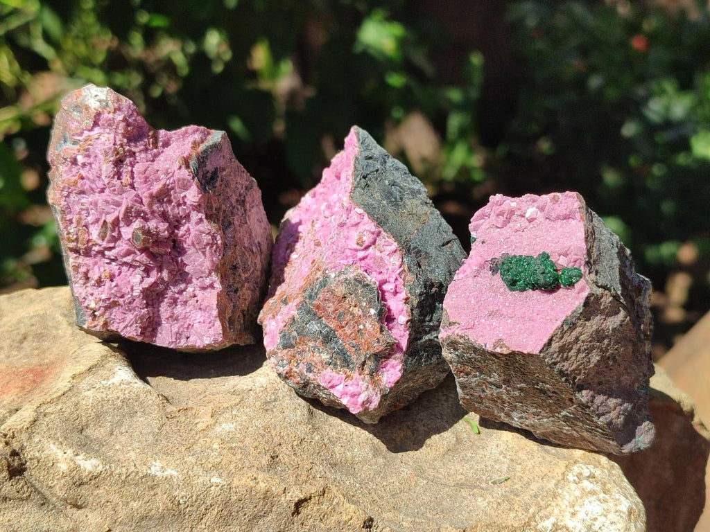 Natural Salrose Cobaltion Dolomite Specimens x 12 From Kakanda, Congo