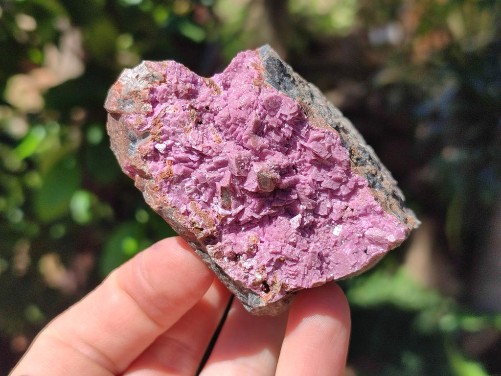 Natural Salrose Cobaltion Dolomite Specimens x 12 From Kakanda, Congo