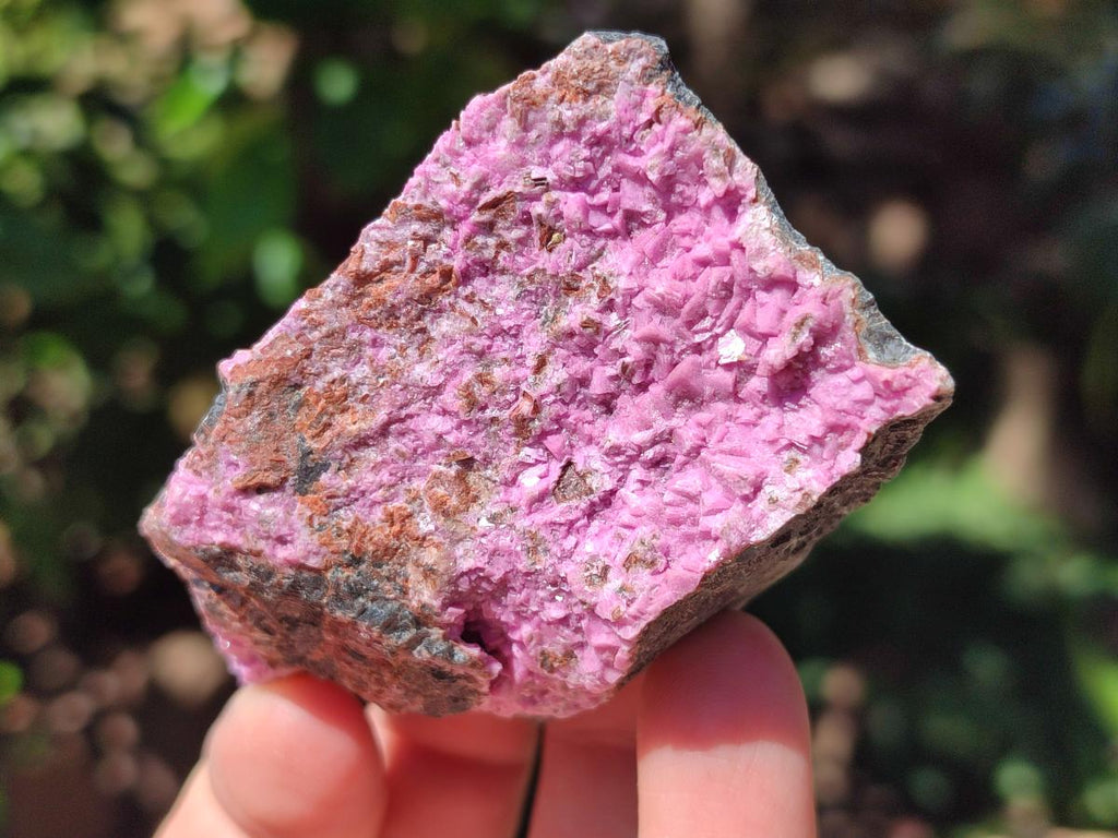 Natural Salrose Cobaltion Dolomite Specimens x 12 From Kakanda, Congo
