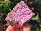 Natural Salrose Cobaltion Dolomite Specimens x 12 From Kakanda, Congo