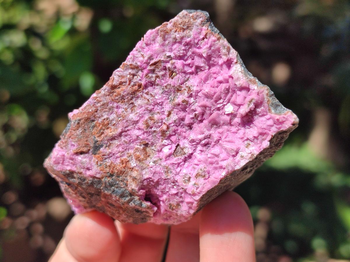 Natural Salrose Cobaltion Dolomite Specimens x 12 From Kakanda, Congo