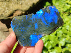 Polished On One Side Labradorite Slices x 12 From Tulear, Madagascar