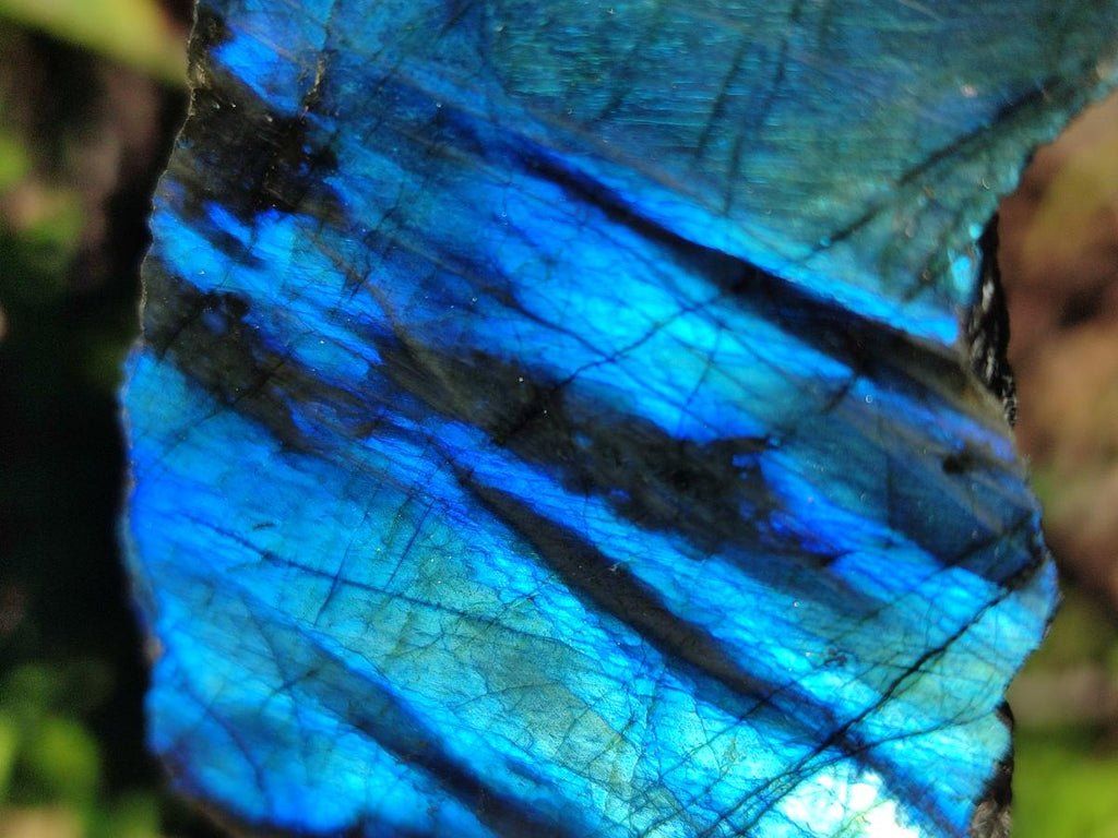 Polished On One Side Labradorite Slices x 12 From Tulear, Madagascar