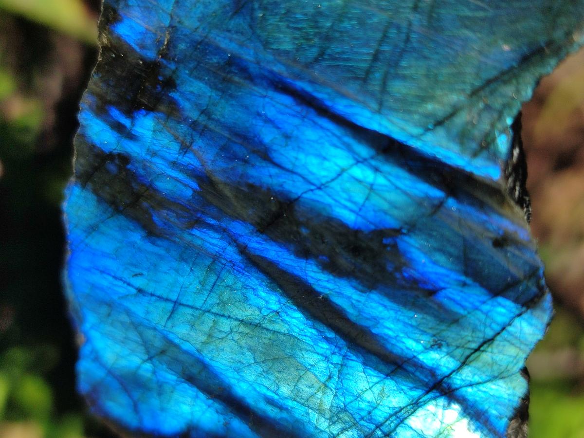 Polished On One Side Labradorite Slices x 12 From Tulear, Madagascar