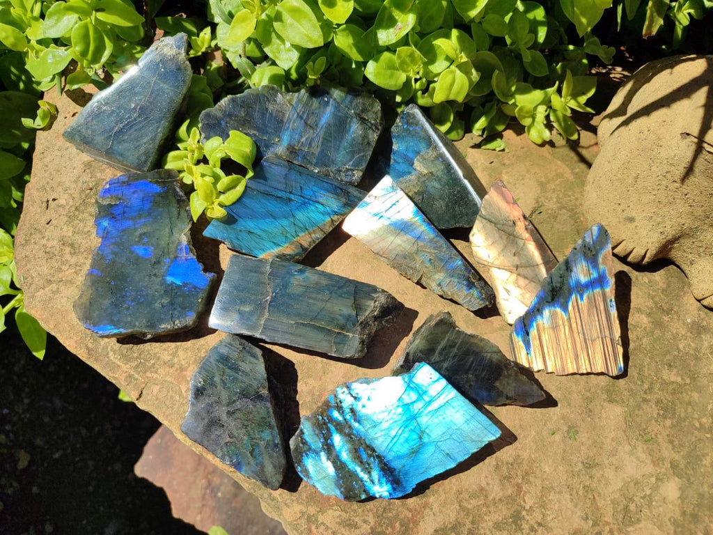Polished On One Side Labradorite Slices x 12 From Tulear, Madagascar