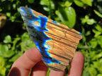 Polished On One Side Labradorite Slices x 12 From Tulear, Madagascar