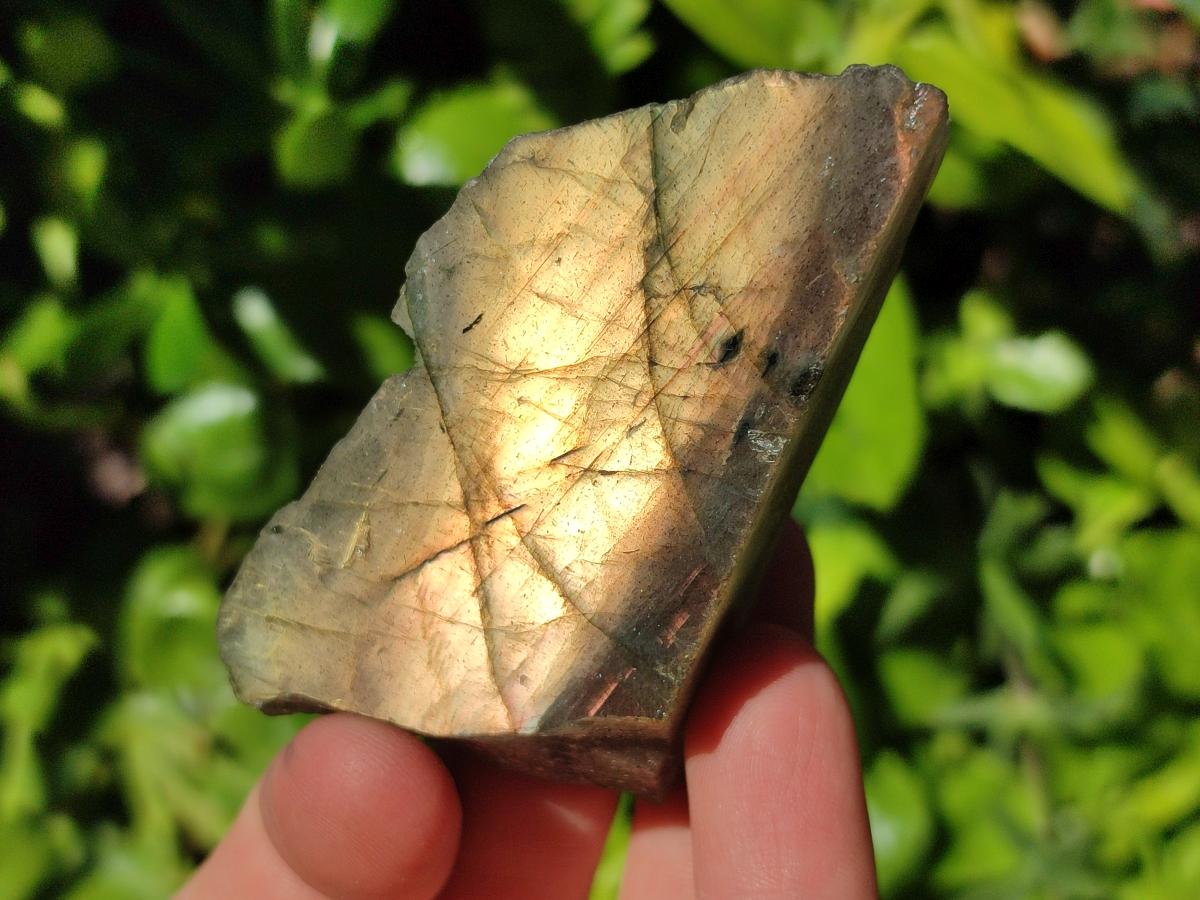 Polished On One Side Labradorite Slices x 12 From Tulear, Madagascar