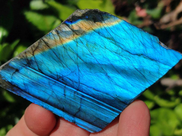 Polished On One Side Labradorite Slices x 12 From Tulear, Madagascar