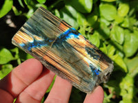 Polished On One Side Labradorite Slices x 12 From Tulear, Madagascar