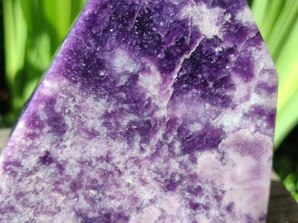 Polished Lepidolite Standing Free Forms x 2 From Zimbabwe