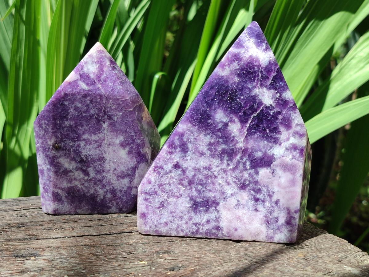 Polished Lepidolite Standing Free Forms x 2 From Zimbabwe