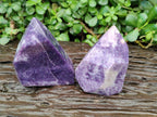 Polished Lepidolite Standing Free Forms x 2 From Zimbabwe