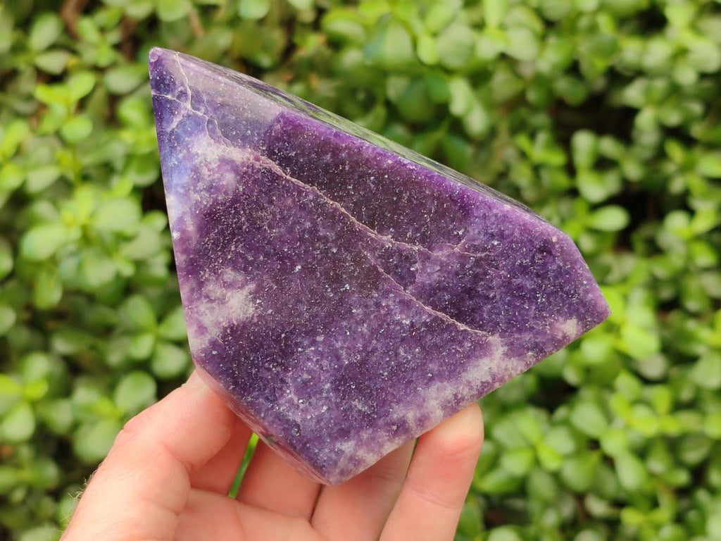 Polished Lepidolite Standing Free Forms x 2 From Zimbabwe