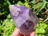 Polished Lepidolite Standing Free Forms x 2 From Zimbabwe