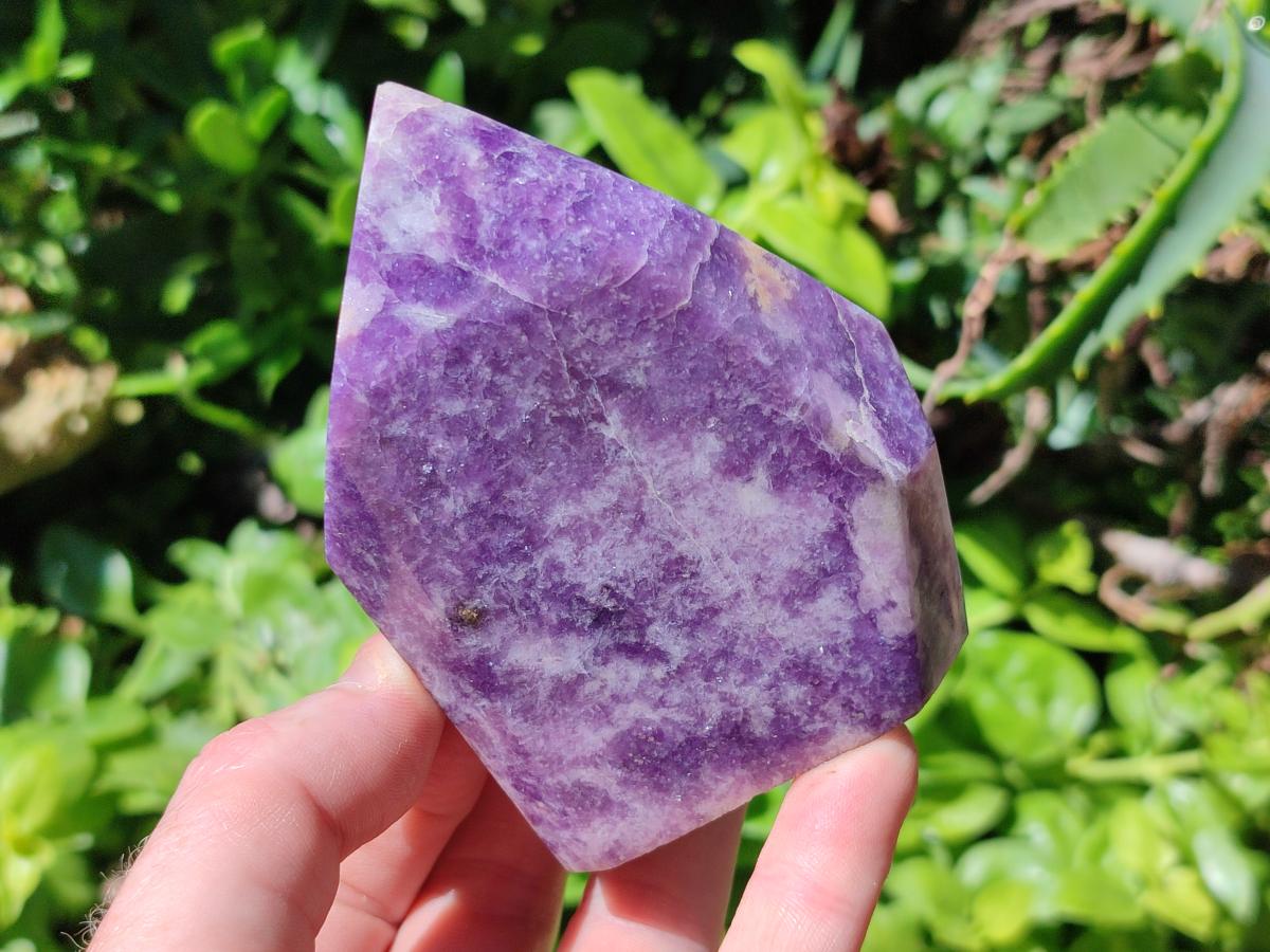 Polished Lepidolite Standing Free Forms x 2 From Zimbabwe