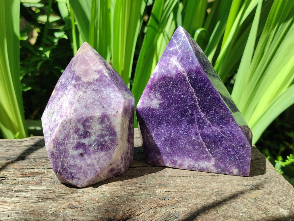 Polished Lepidolite Standing Free Forms x 2 From Zimbabwe
