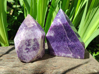 Polished Lepidolite Standing Free Forms x 2 From Zimbabwe