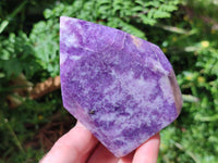 Polished Lepidolite Standing Free Forms x 2 From Zimbabwe