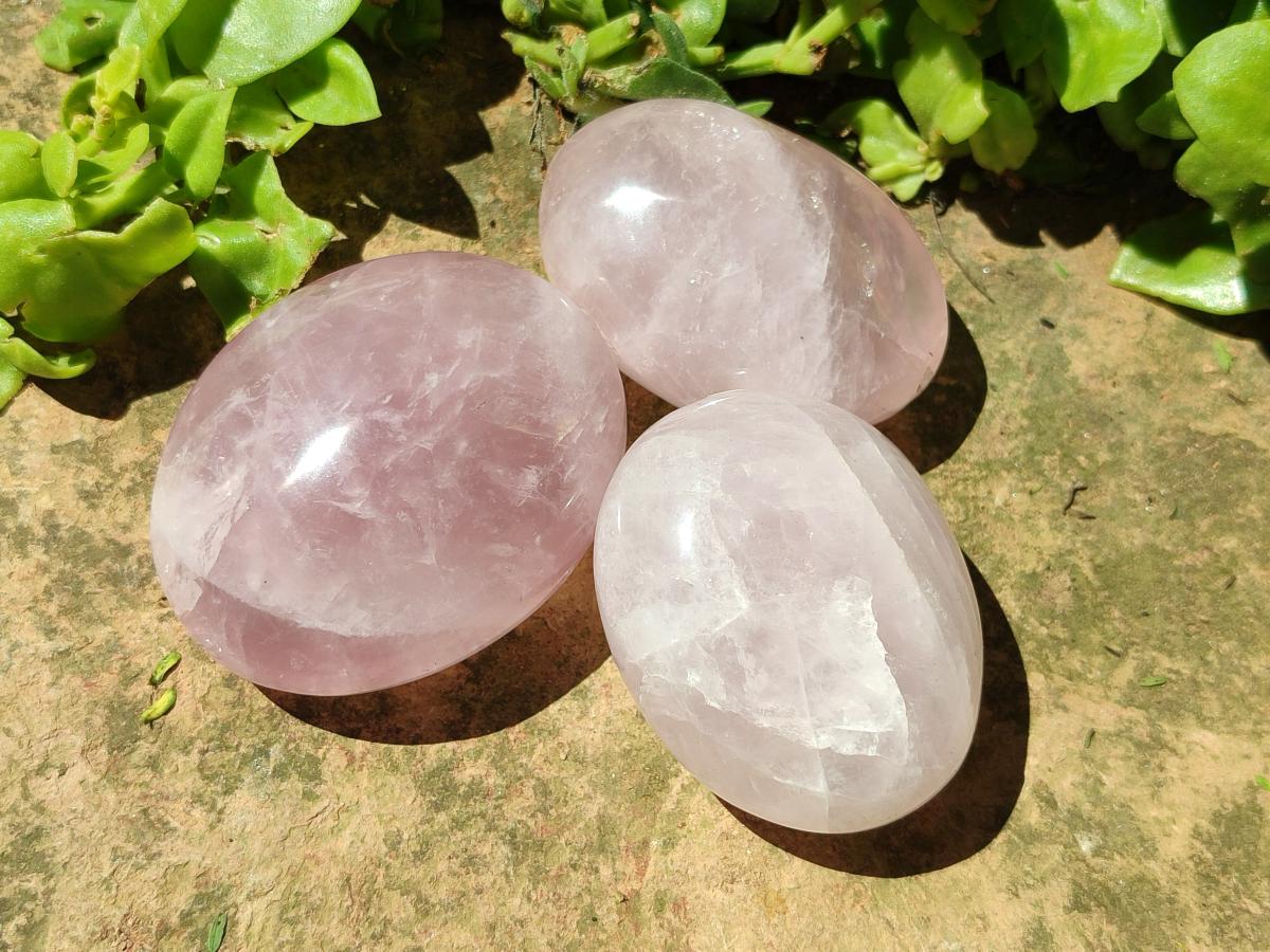 Polished Gemmy Rose Quartz Palm Stones x 12 From Madagascar
