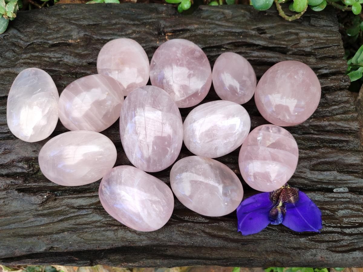 Polished Gemmy Rose Quartz Palm Stones x 12 From Madagascar