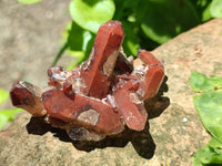 Natural Mix of Multi Mineral Specimens x 38 From Southern Africa