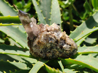 Natural Mix of Multi Mineral Specimens x 38 From Southern Africa